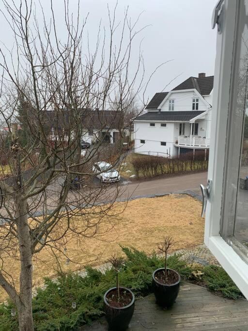 Mollerasen Apartment Sandefjord Exteriör bild